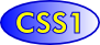 CSS1.png